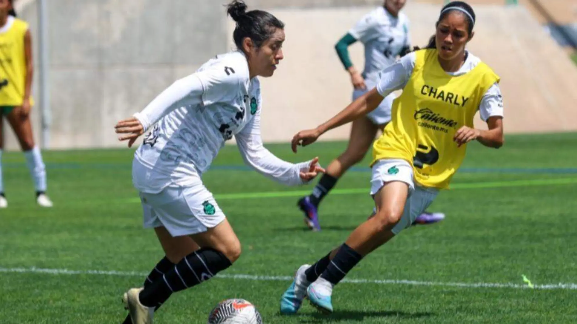 Santos femenil